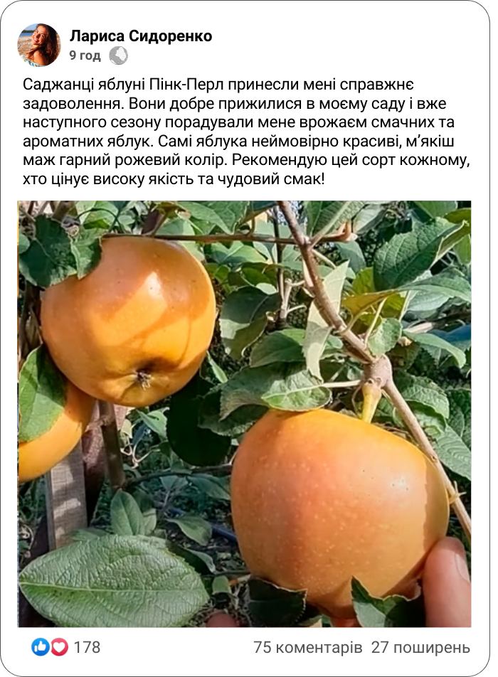 Заголовок